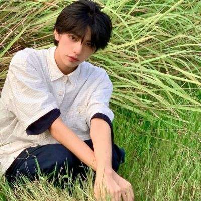 宝可梦进化sf公益服下载