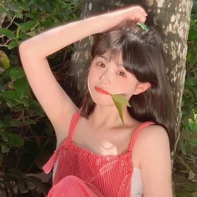 一品王爷游戏
